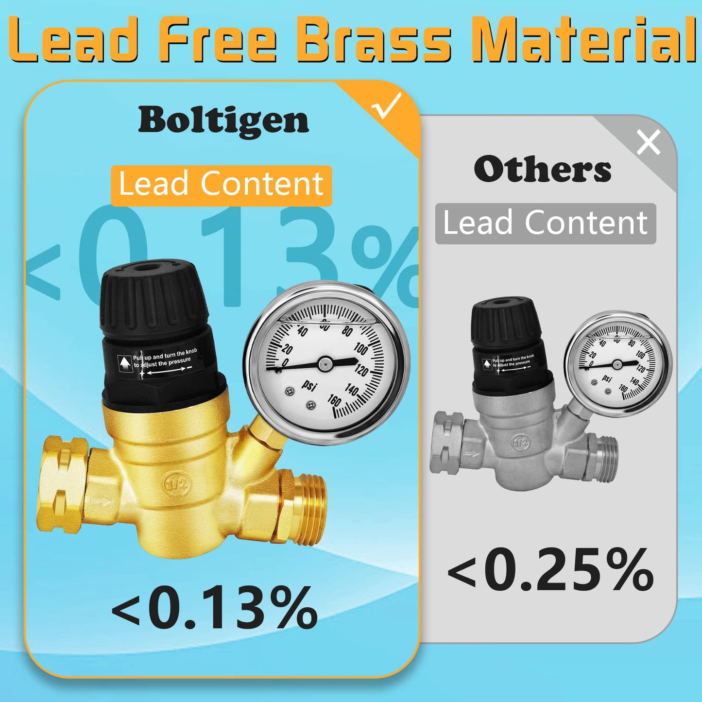 RV Water Pressure Regulator with Gauge